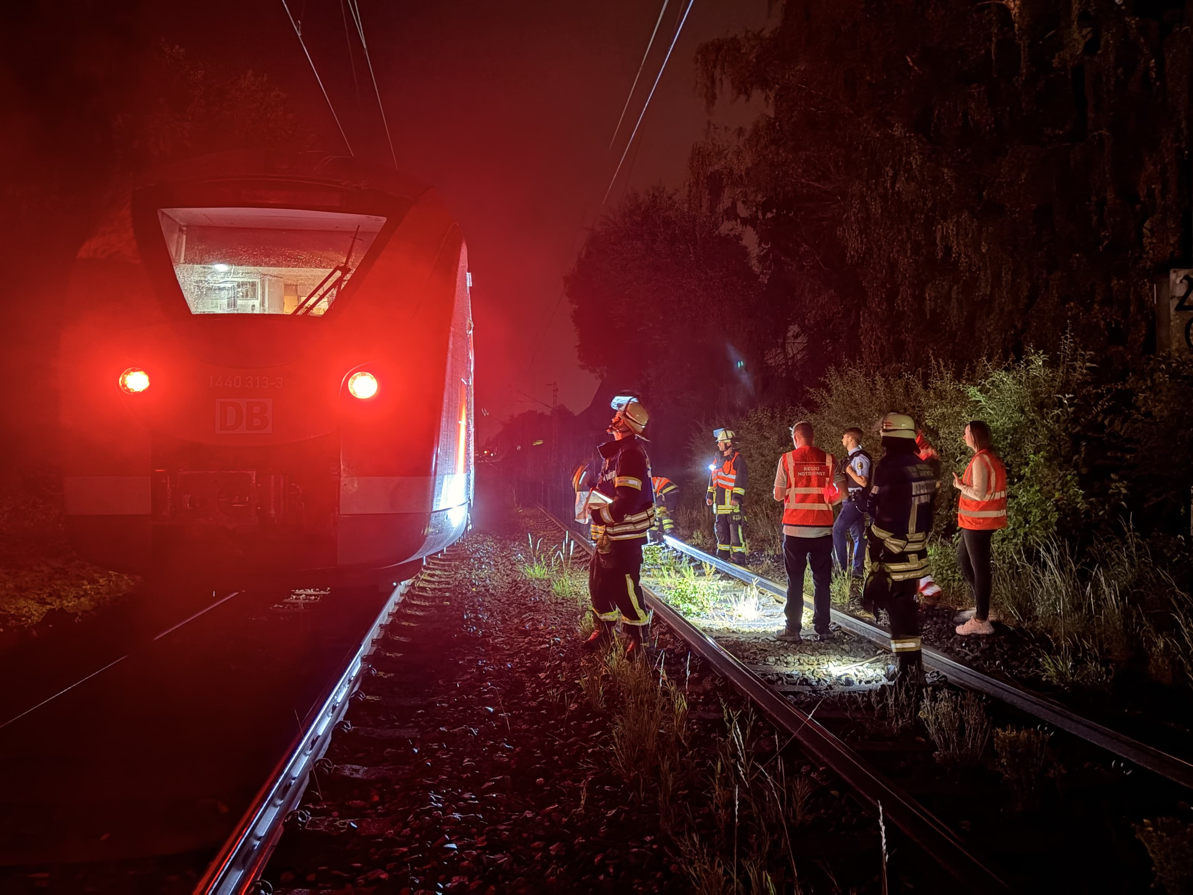 FW-DO: Unwetterschaden in Dortmund: Zug kollidiert mit Baum - 52 Passagiere evakuiert