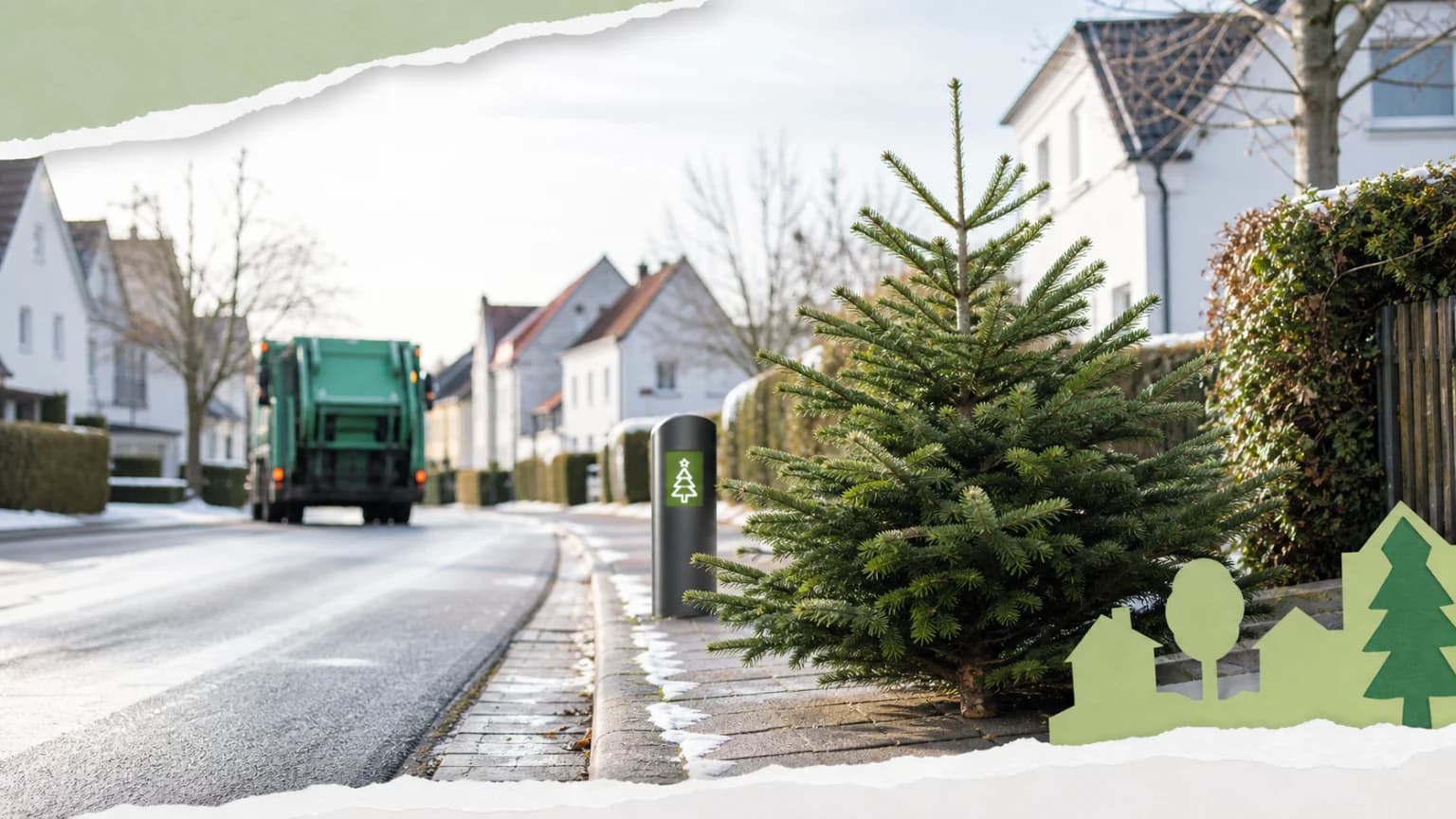 Weihnachtsbäume werden am 10. Januar abgeholt