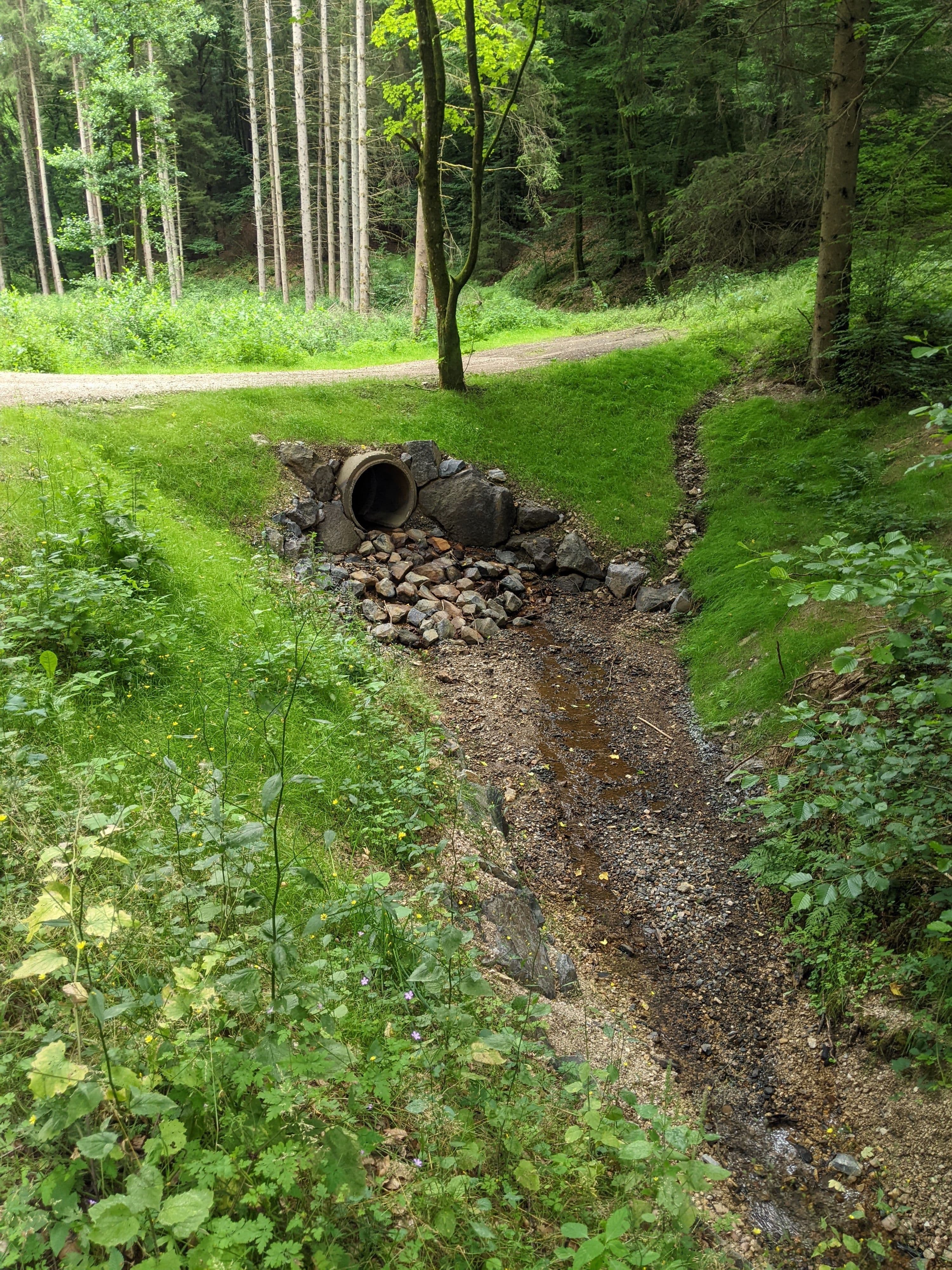 Bad Münstereifel saniert Flutschäden an Wirtschaftswegen