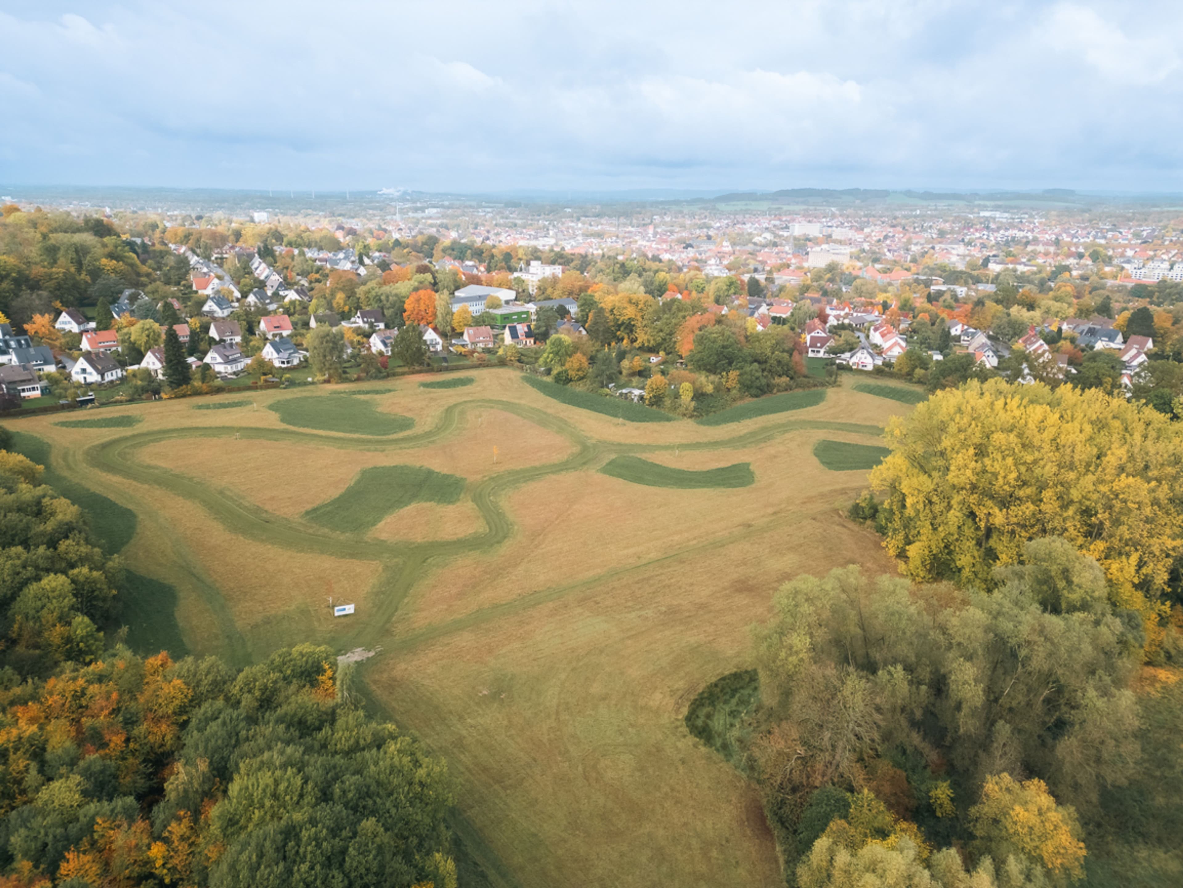 Detmold pflanzt neuen Bürgerwald