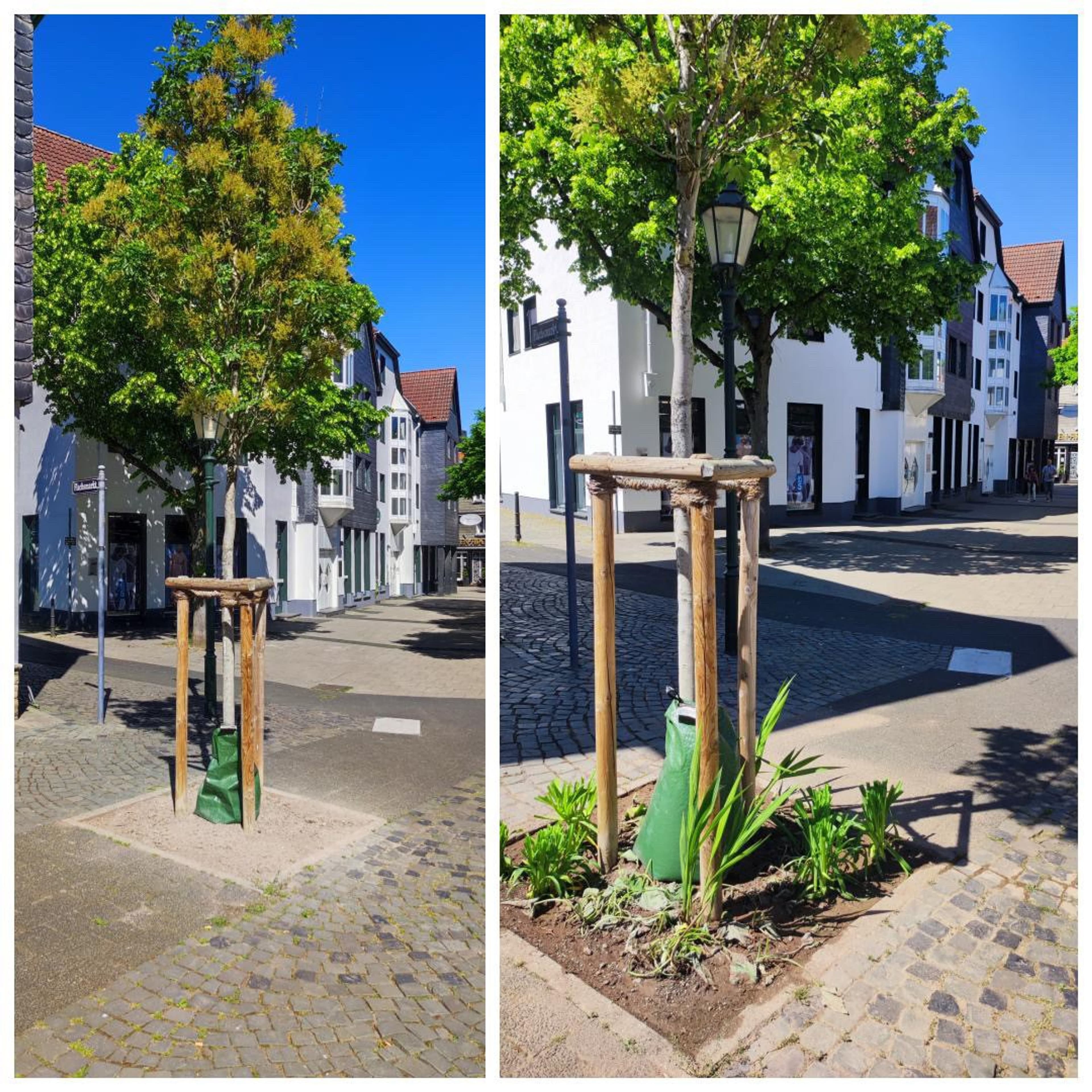 Grüne Oasen für Hattingen