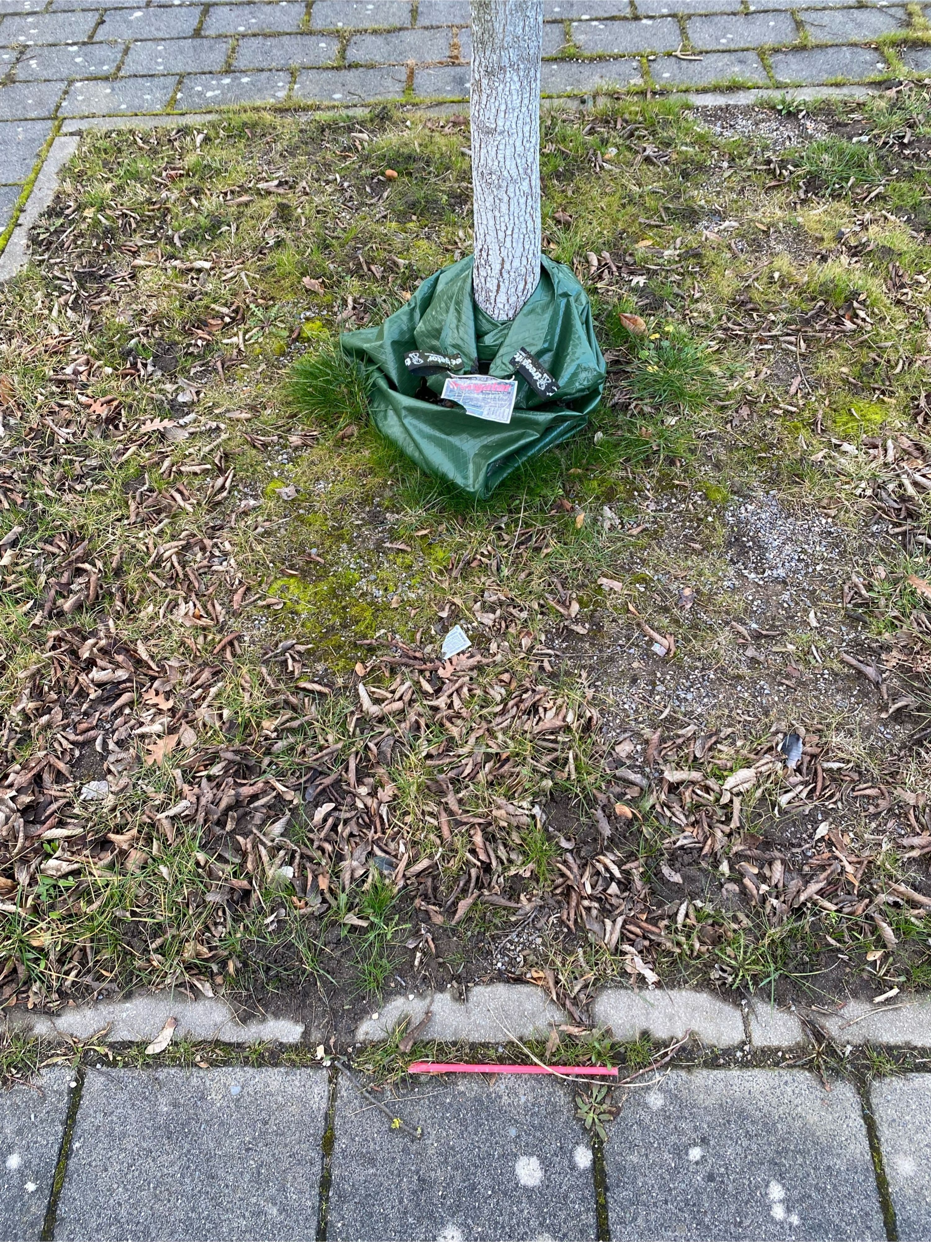 Hattingen blüht auf: Ehrenamt für die Gemeinschaft!