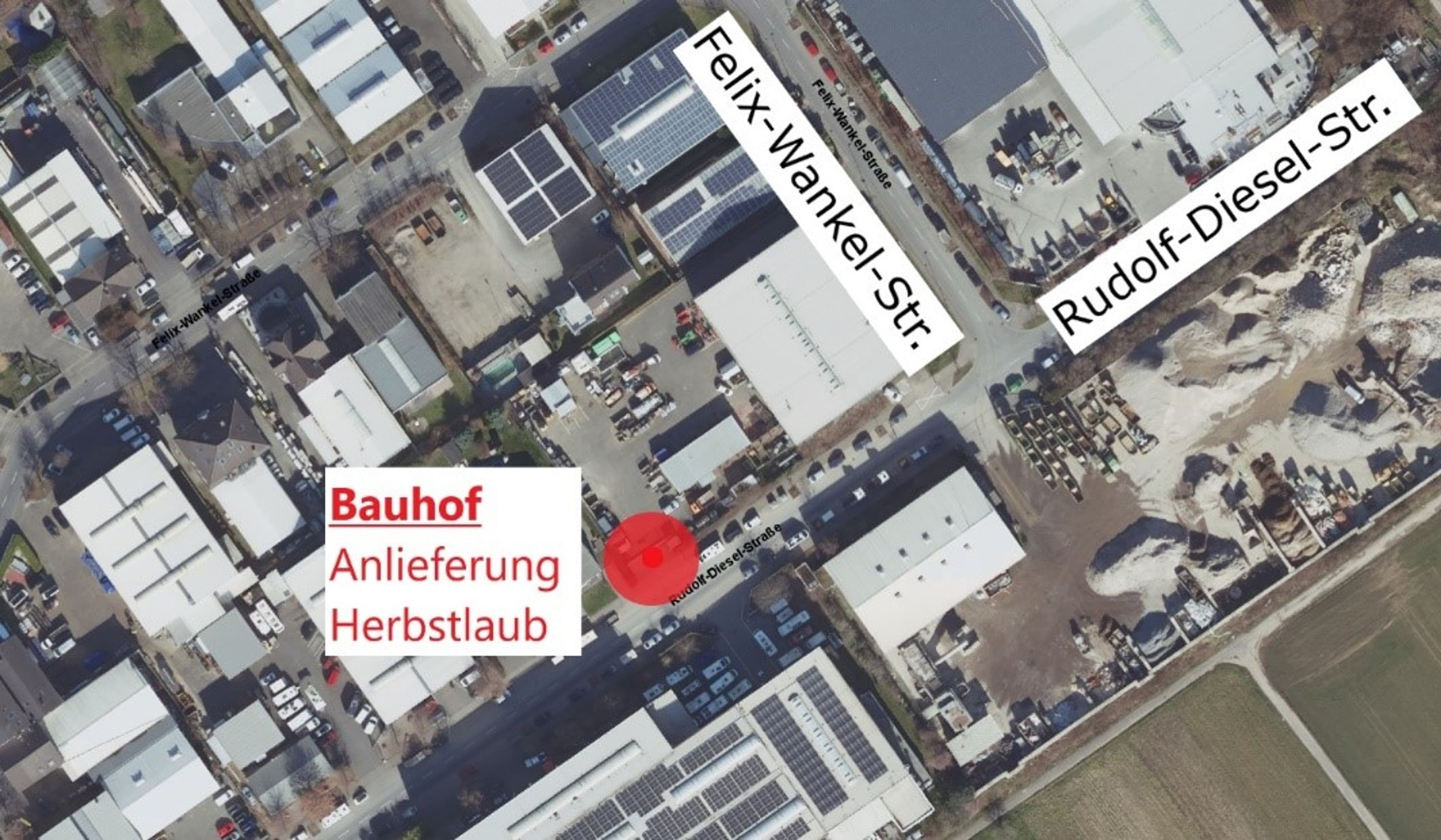 Herbstlaub in Niederkassel richtig entsorgen