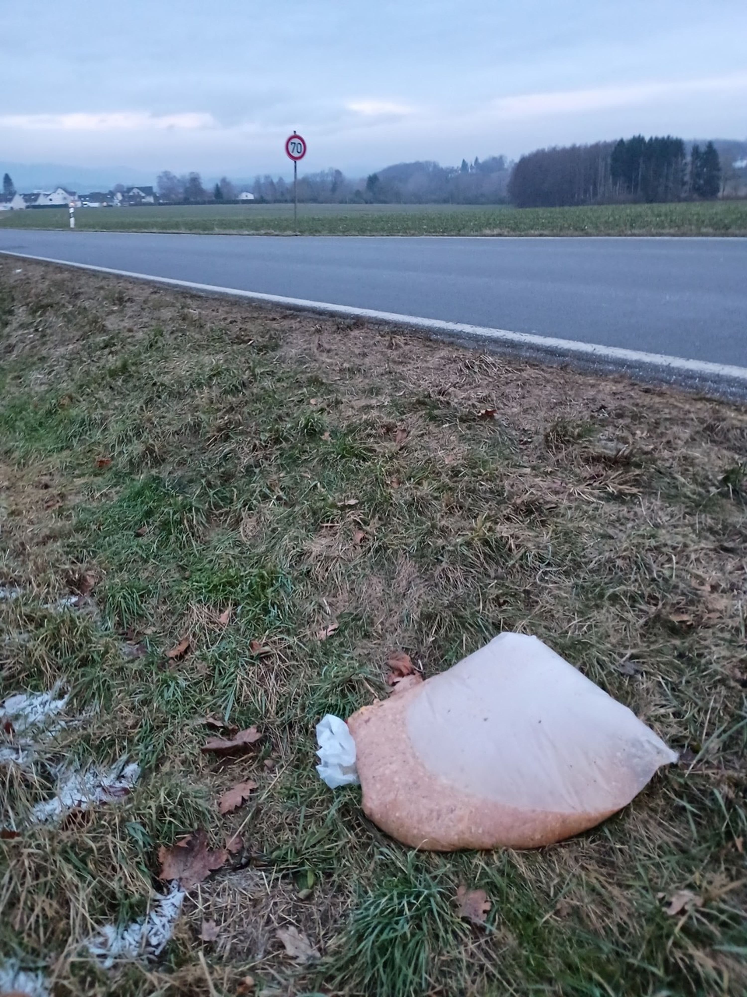 Illegale Müllablagerungen in Detmold: Ein wachsendes Problem