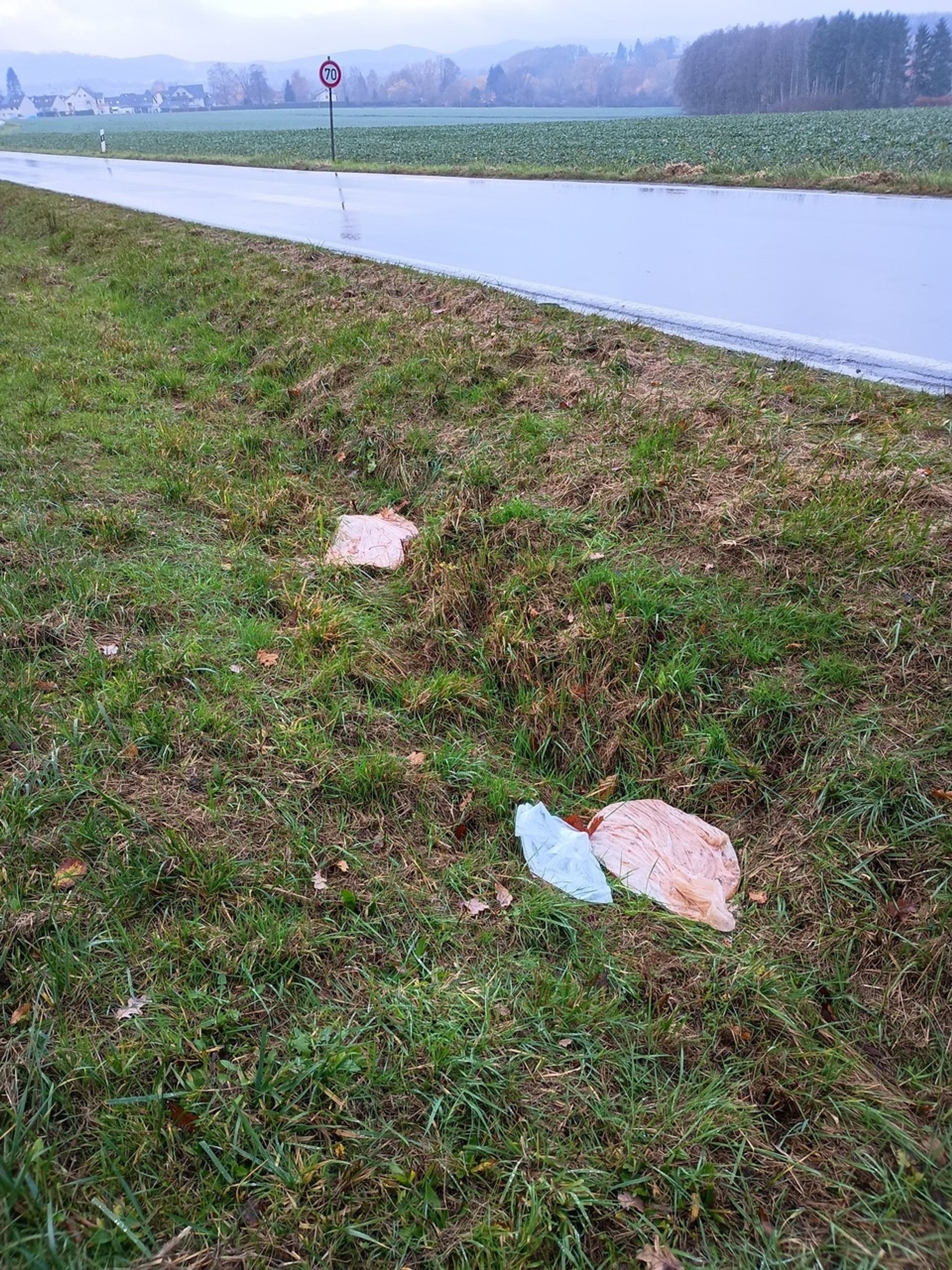 Illegale Müllablagerungen in Detmold: Ein wachsendes Problem