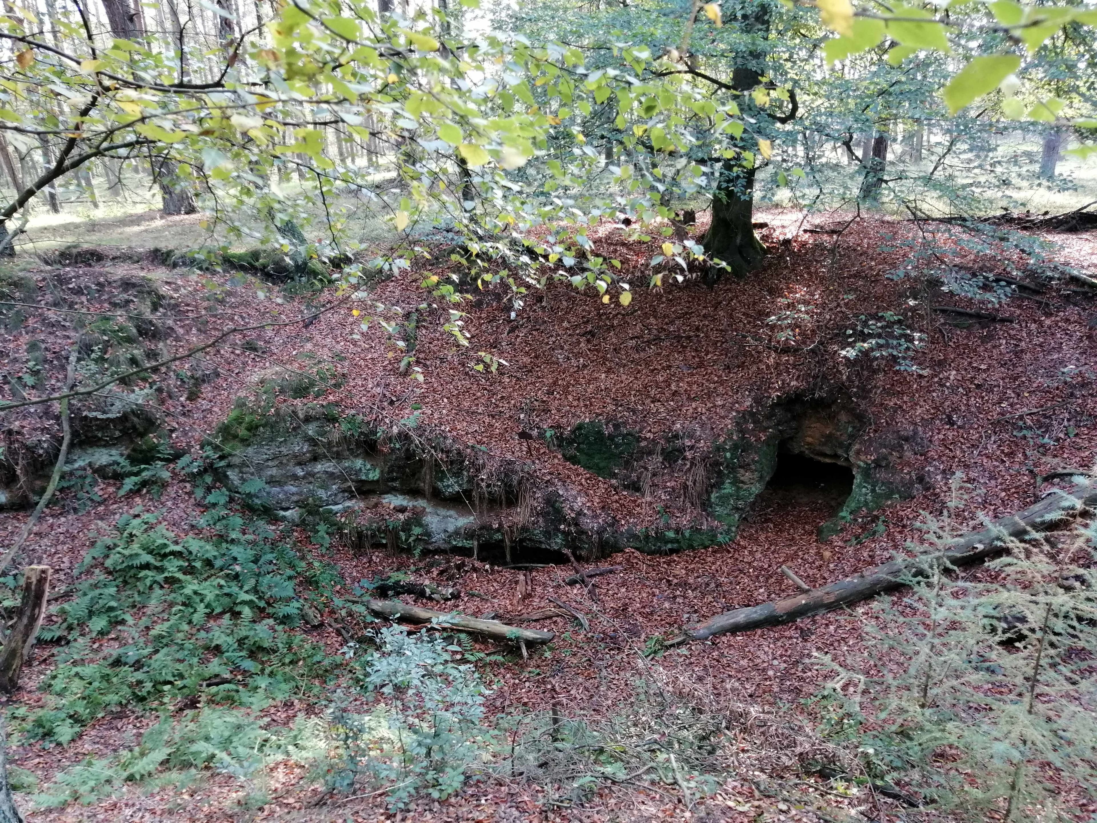 Mystische Wanderung durch Dorstens Norden