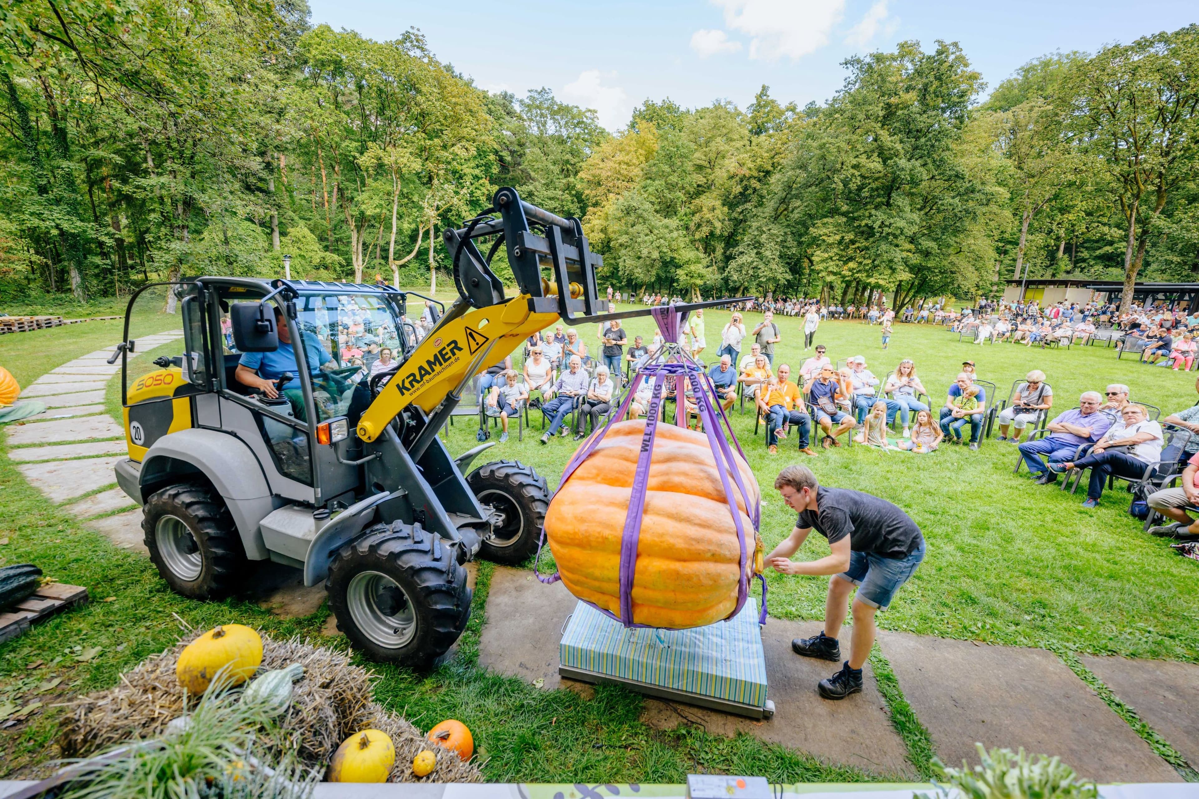 Riesenkürbisse im Rampenlicht: Kürbisfestival in Bad Lippspringe