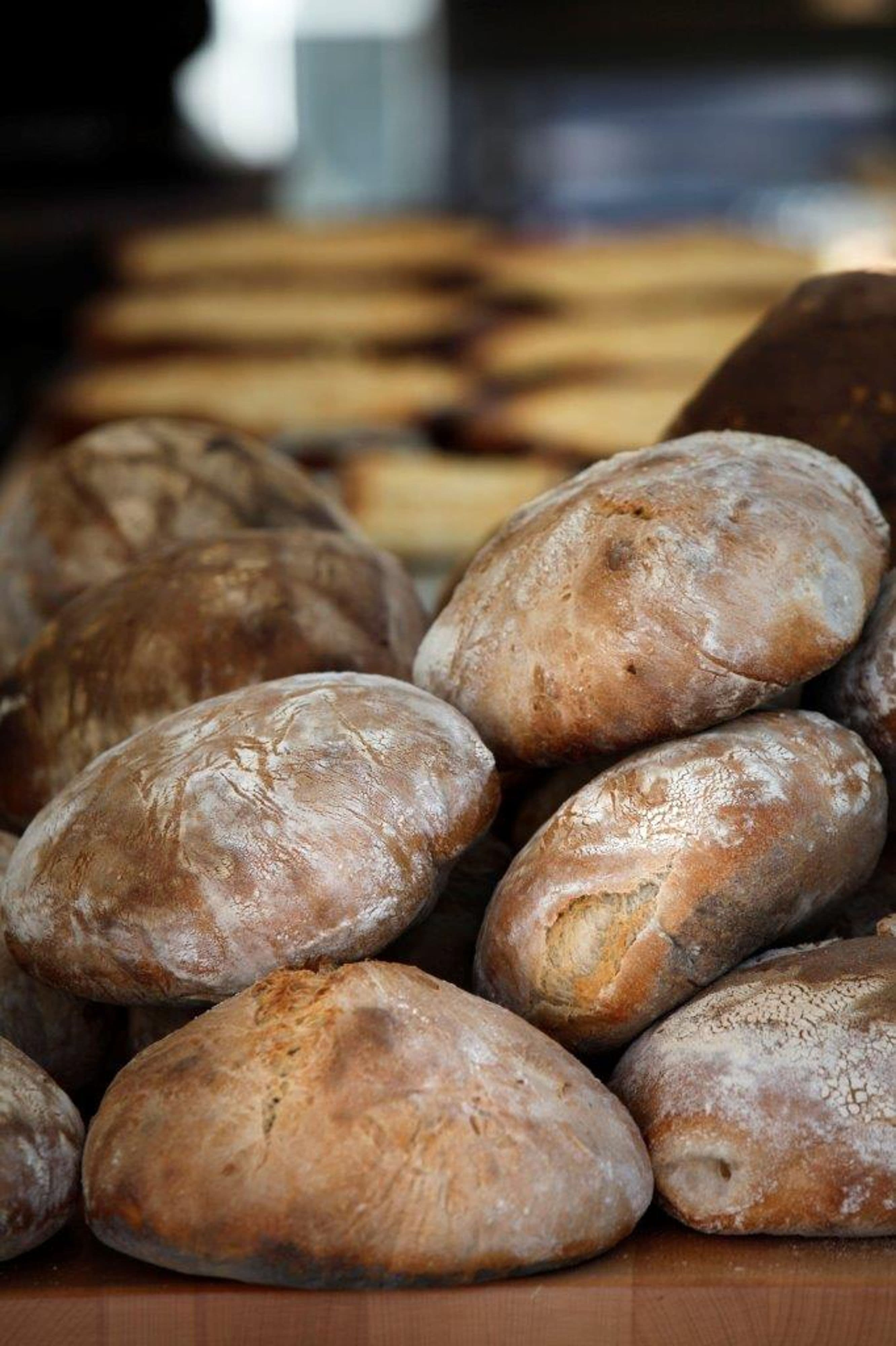 Tradition trifft Genuss: Brotbacken im Siebengebirgsmuseum