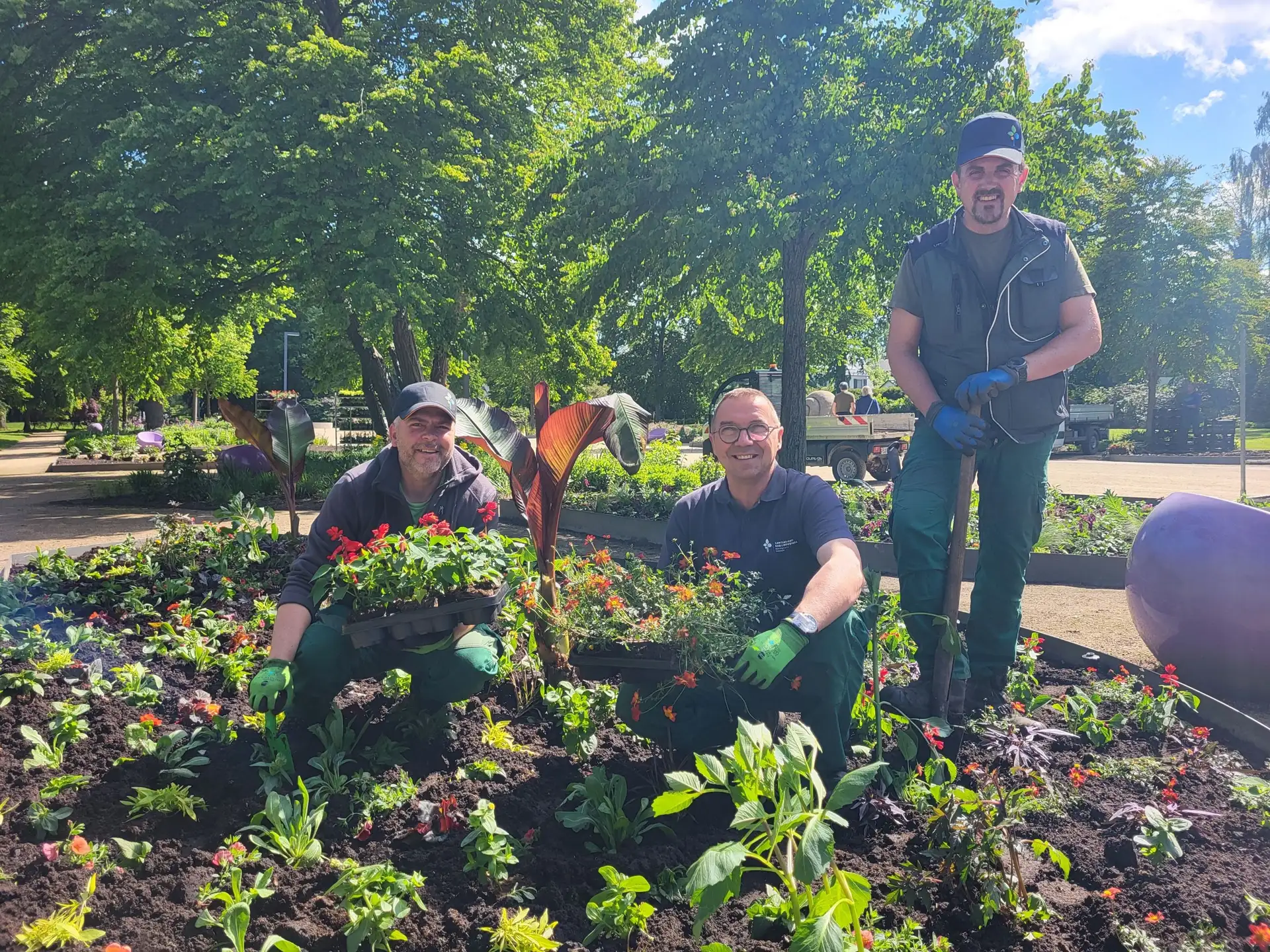 30.000 Sommerblumen für Bad Lippspringe