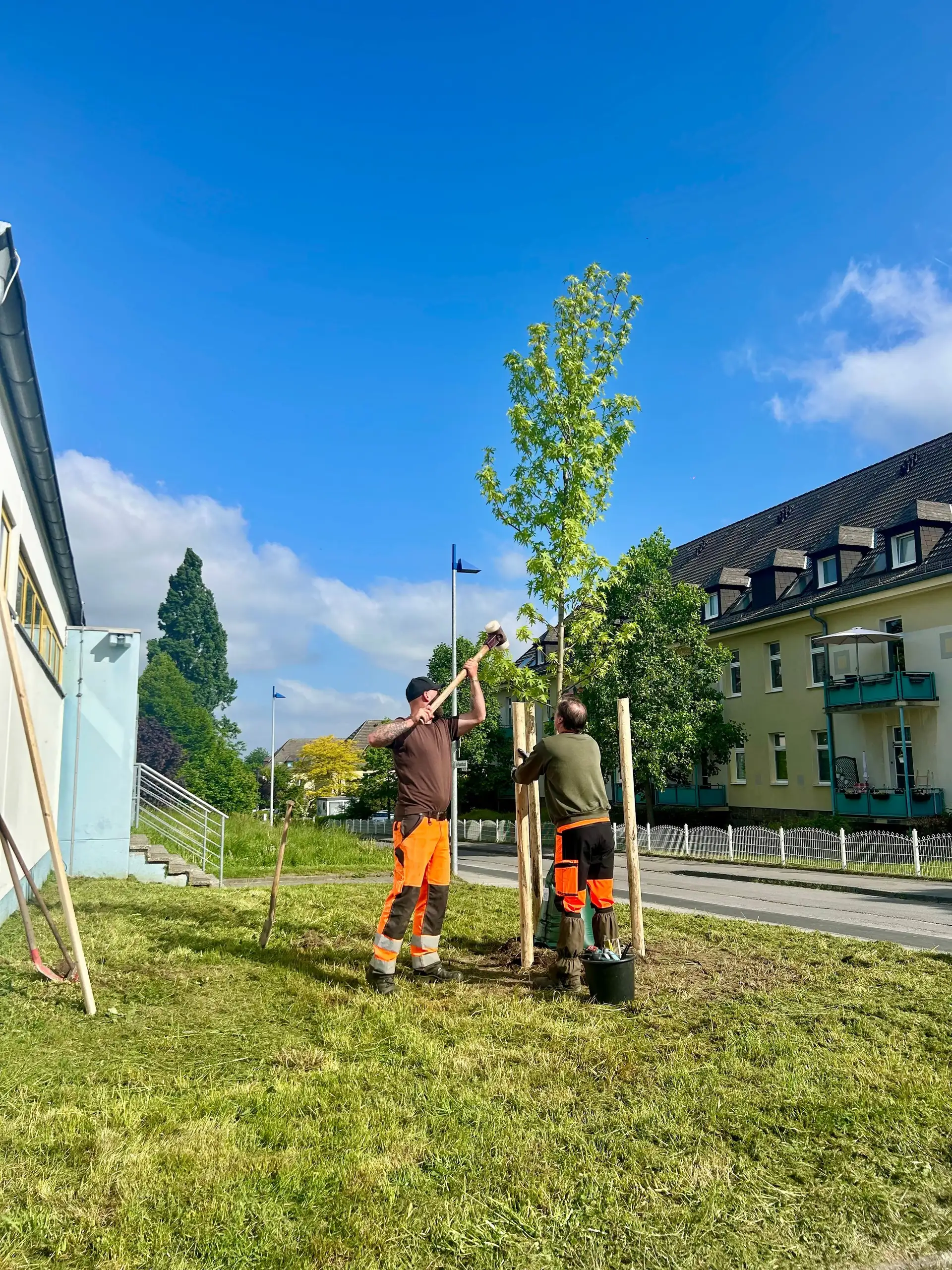 Menden gedenkt mit neuem Trauerbaum