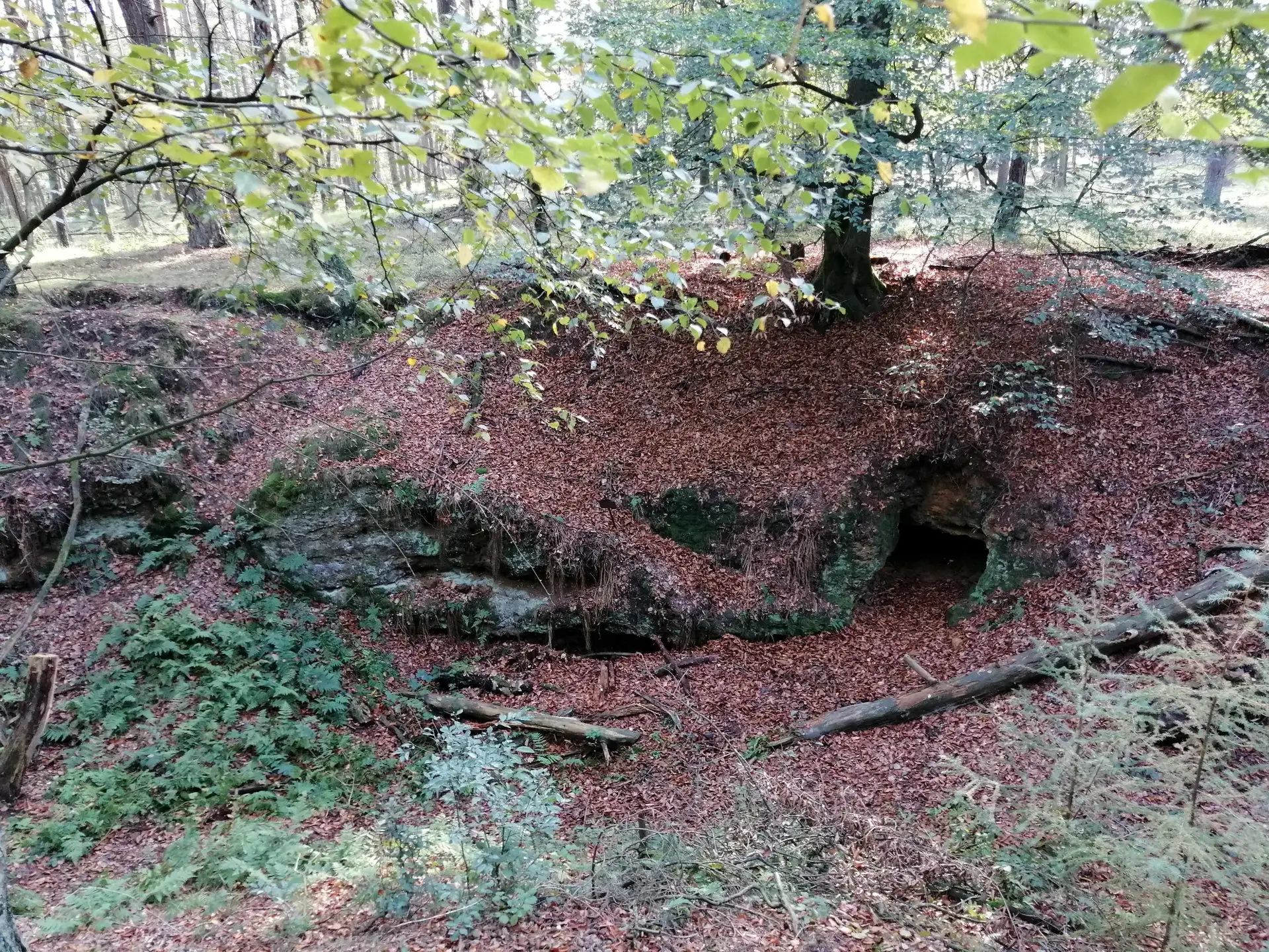 Mystische Wanderung durch Dorstens Norden