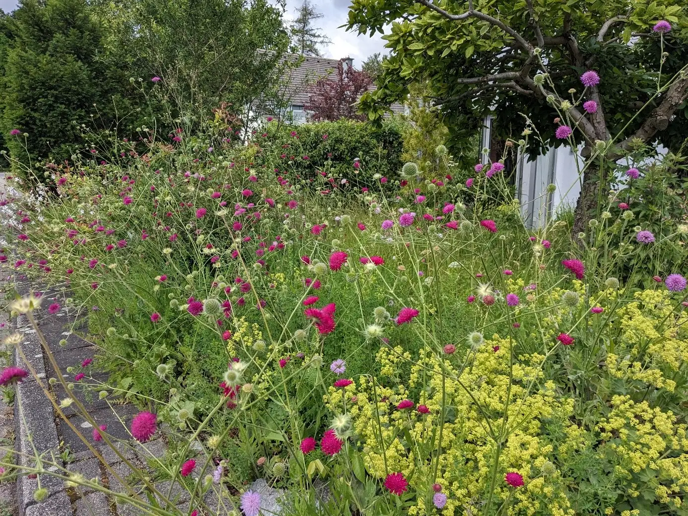 Ratingen lädt zur Aktion „Bunte Vorgärten“ ein
