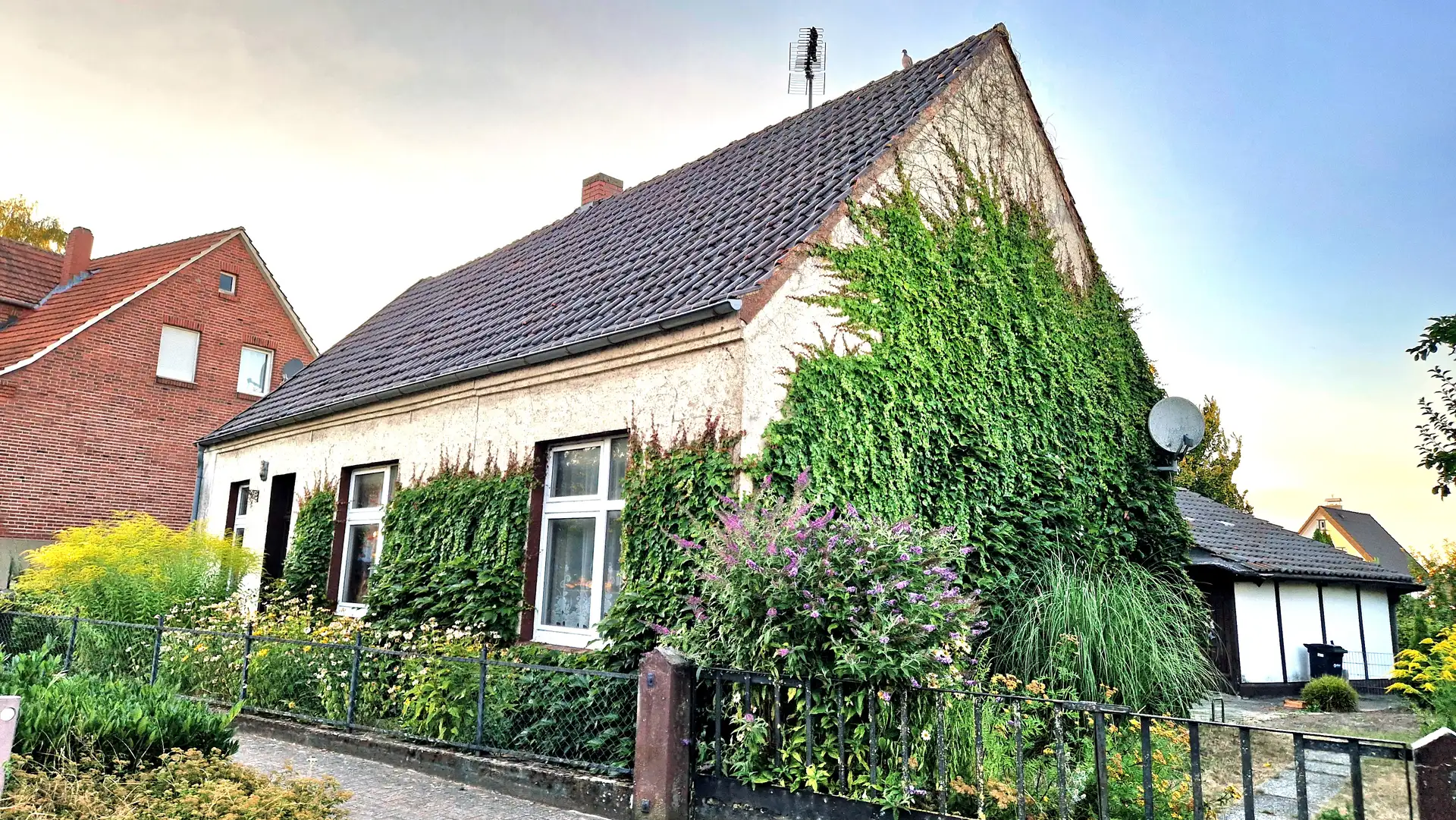 Kostenloser Vortrag zu mehr Grün an und um das eigene Haus