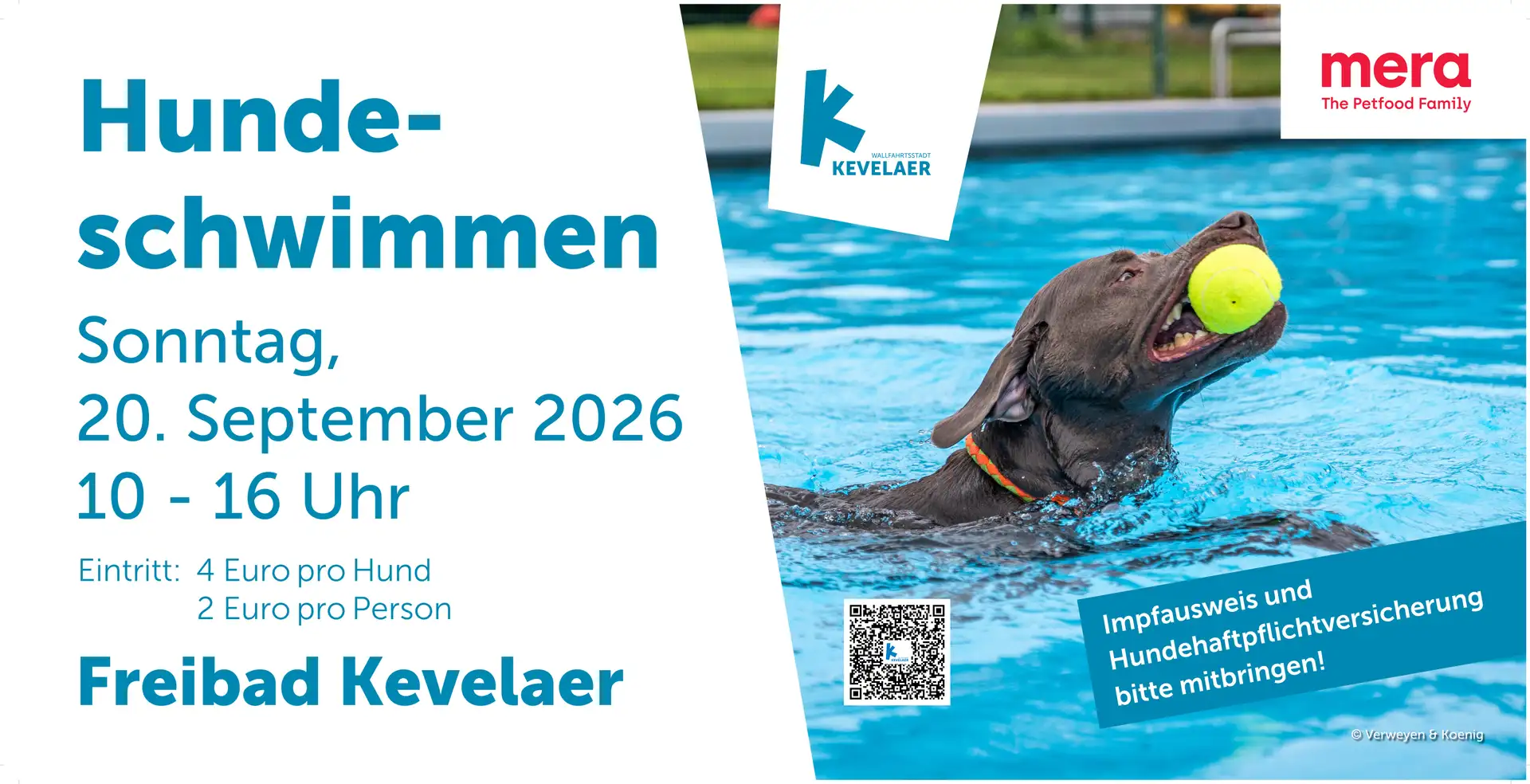 Fünftes Hundeschwimmen im Freibad Kevelaer
