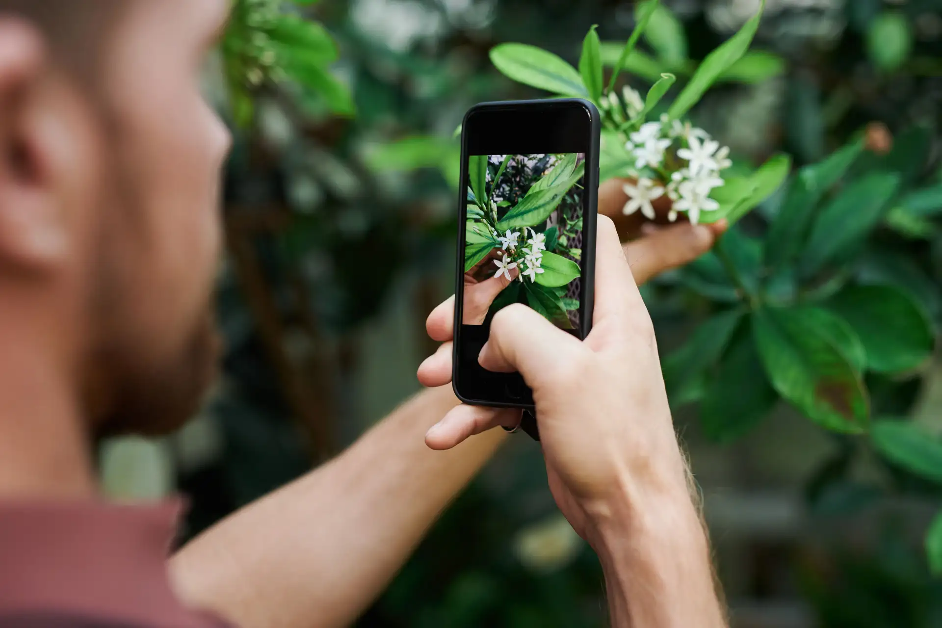 Mit dem Smartphone auf Entdeckungstour: Bei einer Exkursion in die Bega-Auen erproben die Teilnehmenden die App Observation.org direkt in der Praxis.