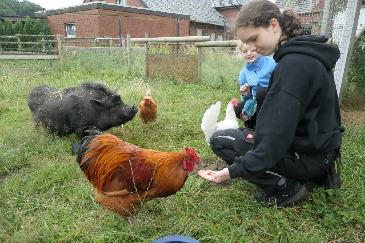 Jugendliche von elf bis 17 Jahren erfahren dort mehr über die Bedürfnisse verschiedener Tiere und die Bedeutung des Tierschutzes.