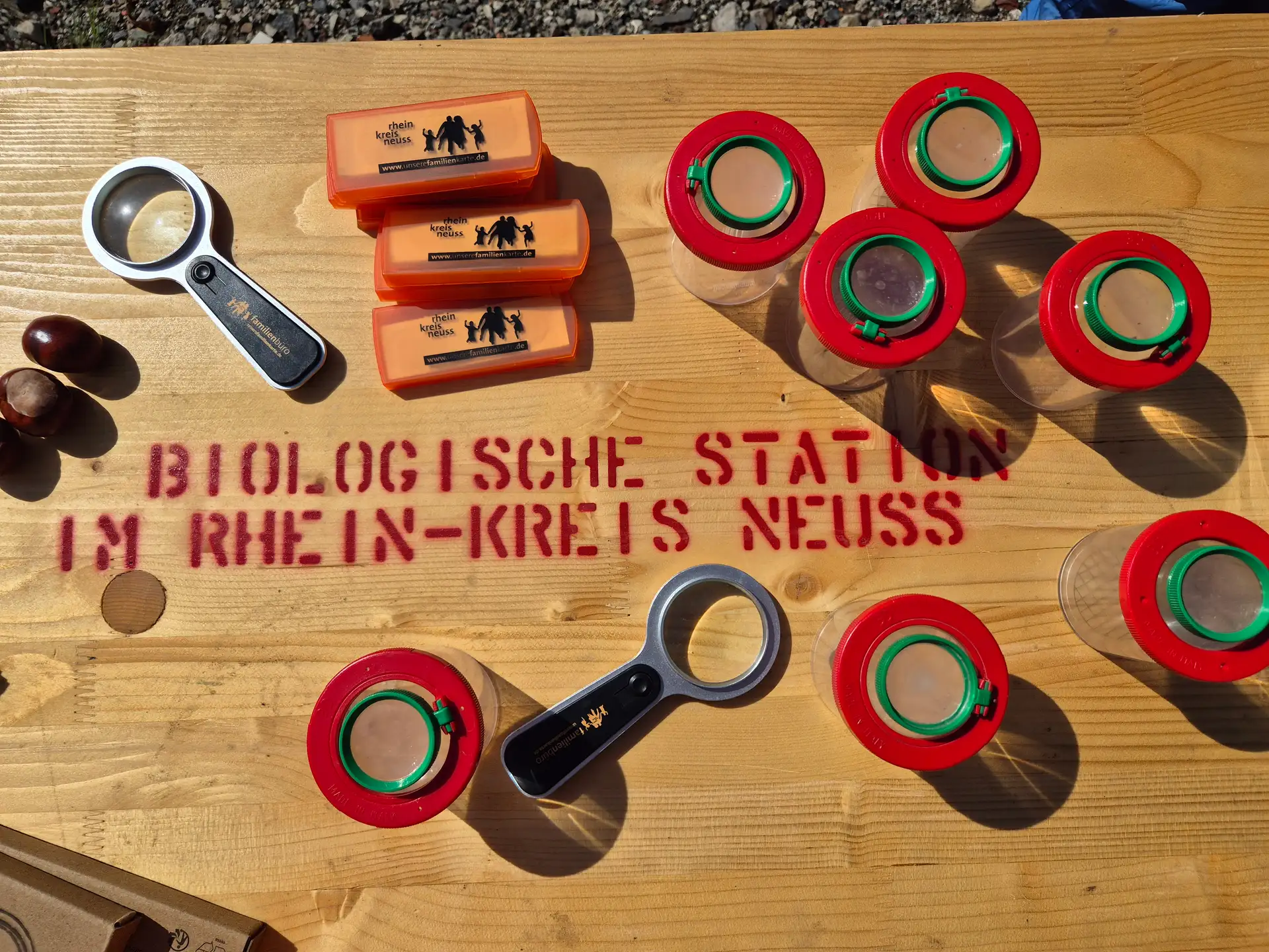 „Naturdetektive unterwegs“ – unter diesem Motto können Familien mit Kindern bei einem Spaziergang die Natur erforschen.