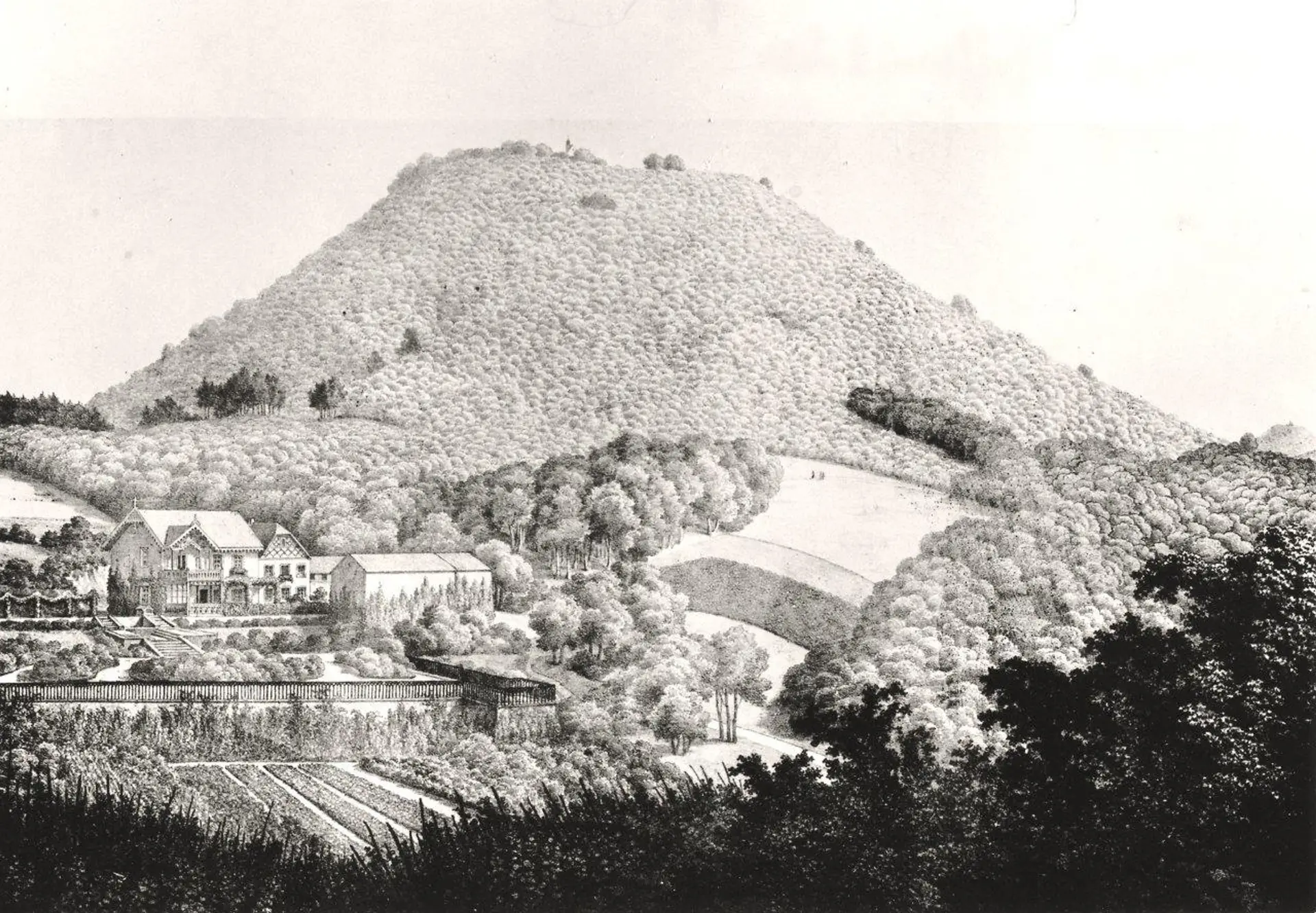 Entdecken Sie die Geschichte des Weinbaus: Historische Wanderung im Siebengebirge