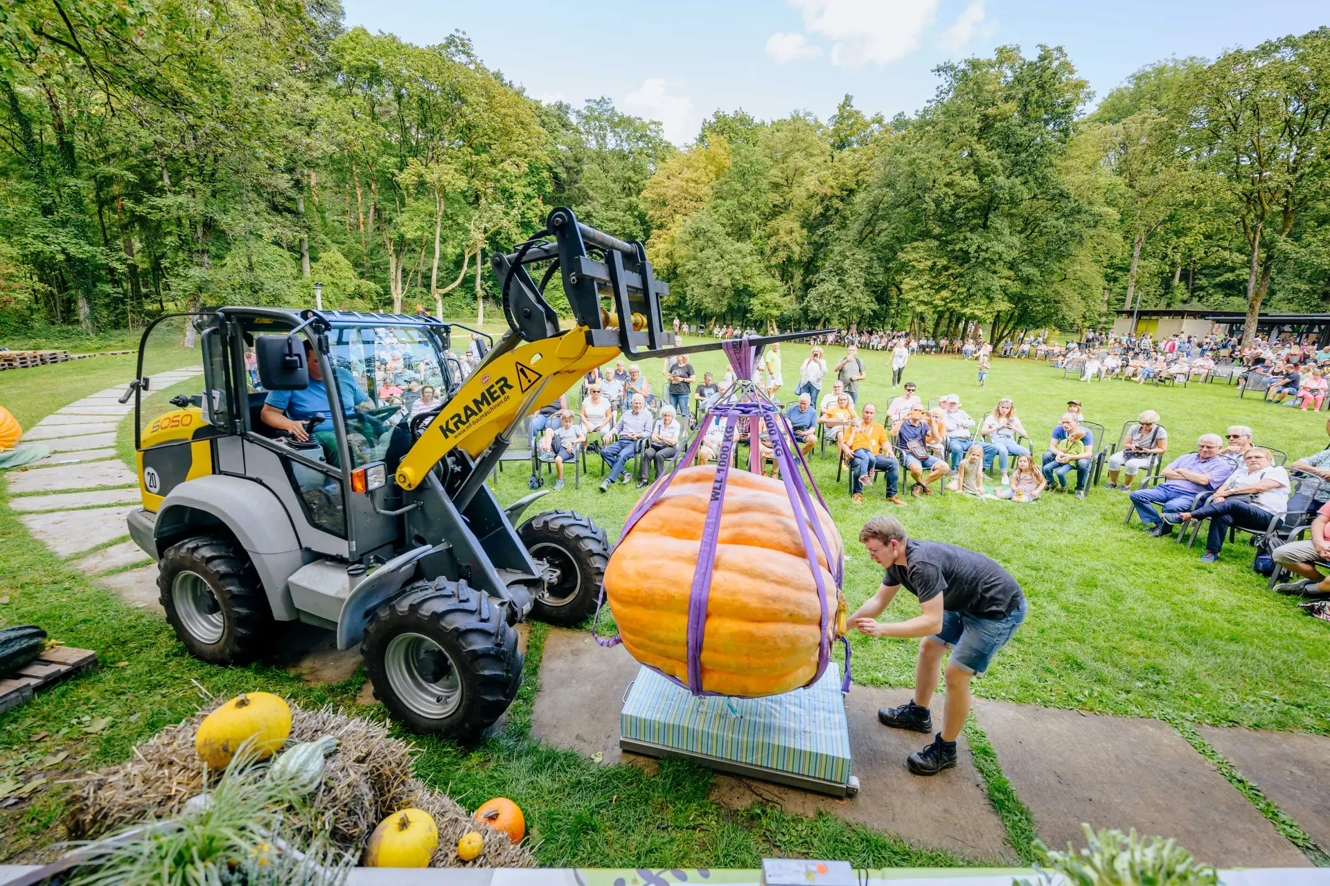 Riesenkürbisse bei der Wiegemeisterschaft in der Gartenschau in Bad Lippspringe.